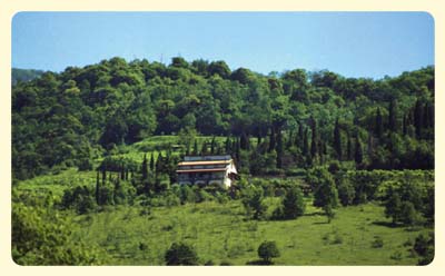 La Apicoltura del Sampí sulle colline di Botticino Mattina